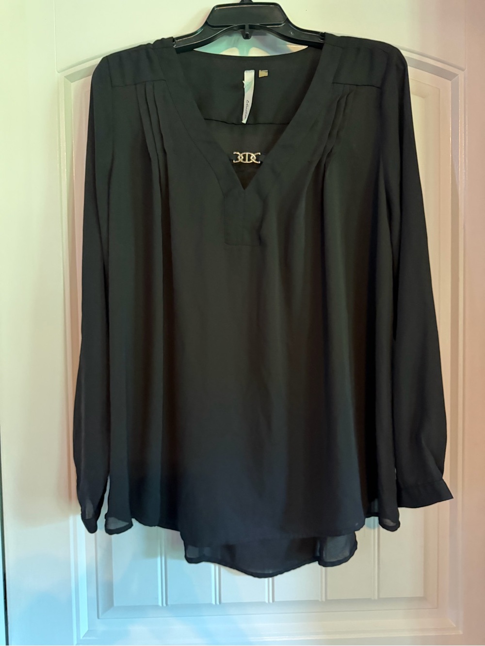 Women’s Black sheer dress shirt. Can be dressed up or dressed down.